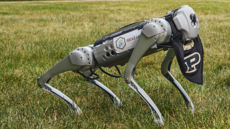 2512 ai robotdog.jpg