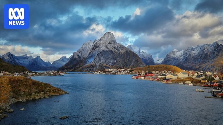 Robots, AI and ‘smart tourism’ will change the way we travel 516787ea932eda24dcb0432ac38a0599.jpeg