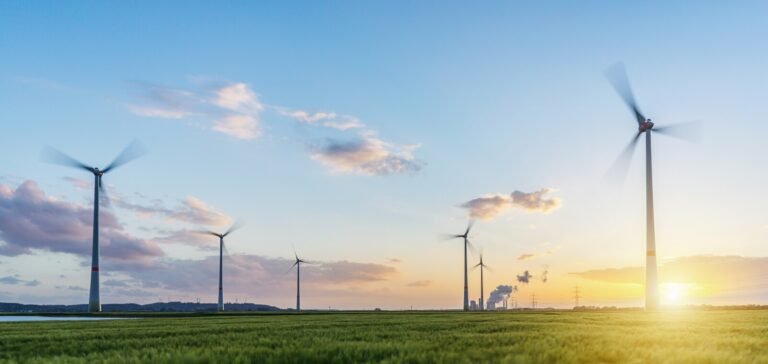 Arm sustainable businesss report 2024.jpg