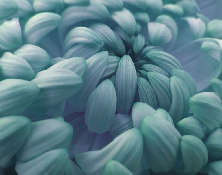 Adobestock 133159941.ashx .jpeg