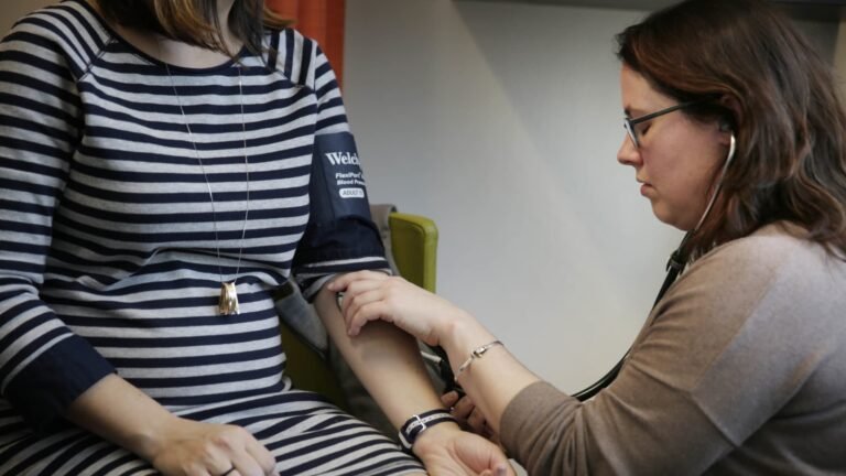 107092058 1658408665693 gettyimages 1322130120 zika0206015 ls.jpeg