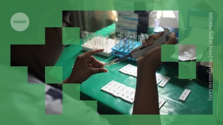 D41586 025 03936 2 51782664.jpg