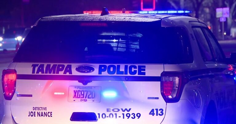 Vlcsnap 2026 01 06 18h22m35s662.jpg